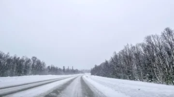 خطر التجمد.. موجة برد شديدة تضرب مناطق شمال السويد خلال الساعات المقبلة